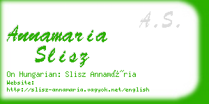 annamaria slisz business card